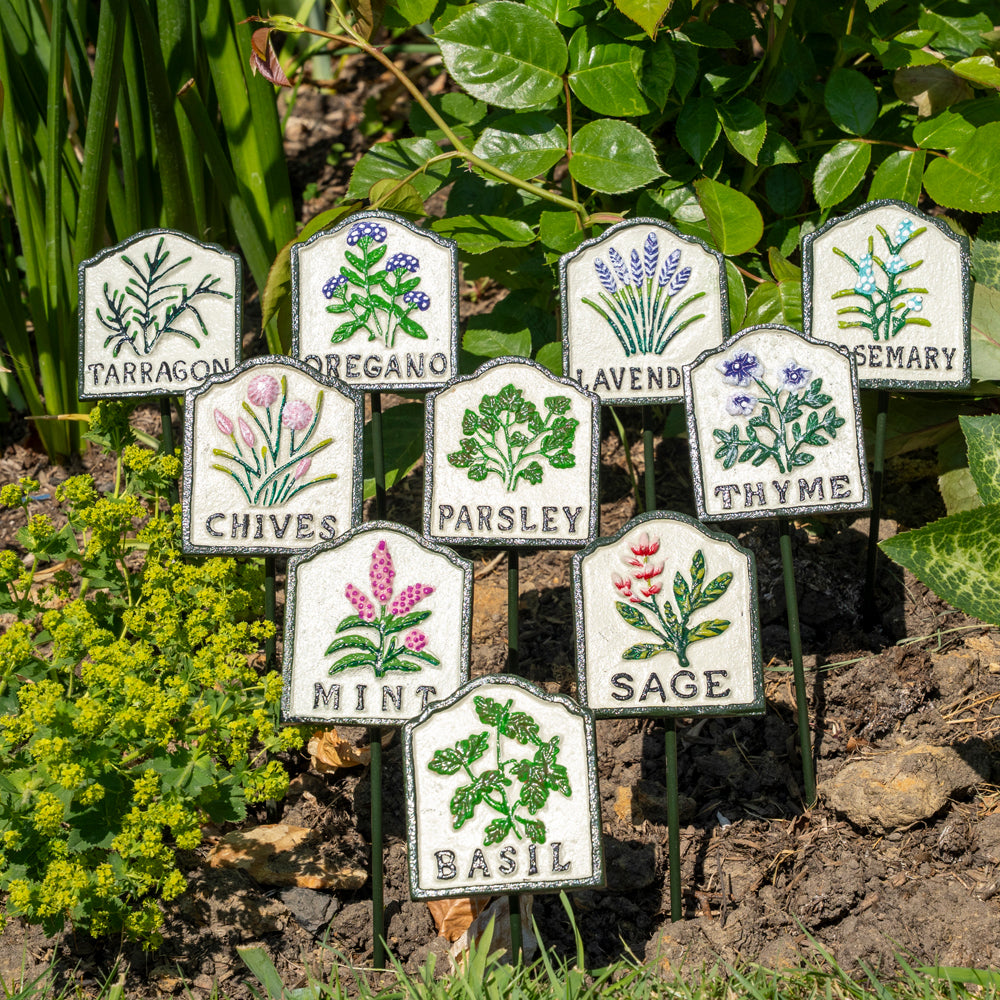 🪴 2. Planters, Garden & Wall Decor