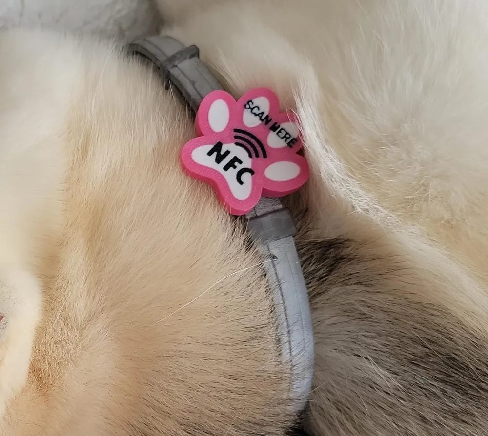 NFC dog ID tag close up detail smart pet accessory UK
